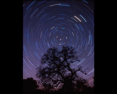 Guided Stargazing Tour in Fish Camp