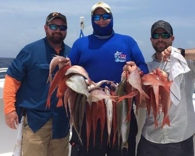 Deep Sea Fishing Trip in Destin, Florida