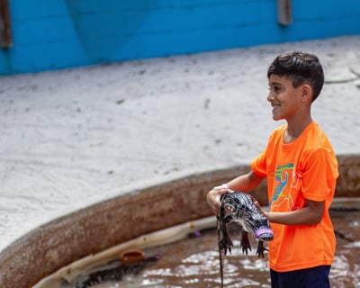 Baby Gator Catching Encounter in Palmdale