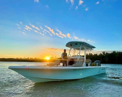 Cruise Goodland on a 2-Hour Sunset Shelling Tour