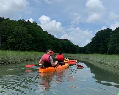 Two-Hour Rudee Inlet Kayak Nature and Dolphin Tour