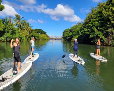 Beginner SUP & Turtle Watch at Sunrise Waialua