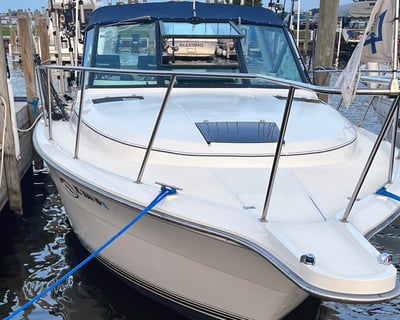 Lake Michigan 6-Hour Fishing Charter