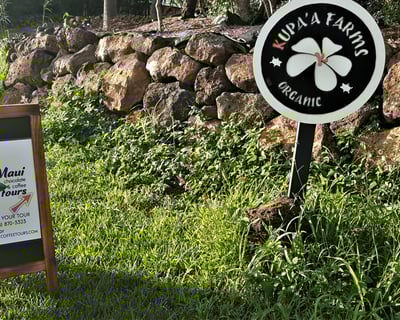 Private Chocolate and Coffee Tour at Kupa'a Farms