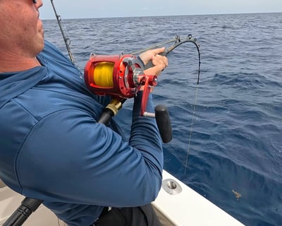 8-Hour Offshore Fishing Charter in Naples
