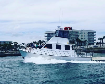 Orange Beach Offshore & Nearshore Fishing Trip