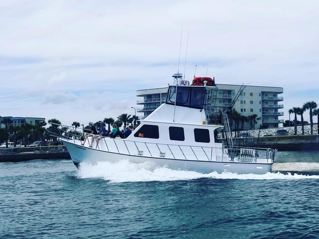 Orange Beach Offshore & Nearshore Fishing Trip