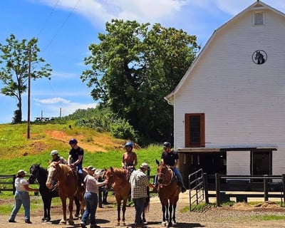 Private Western Riding Lesson