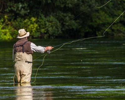Full-Day Guided Wade Fishing in Yellowstone National Park