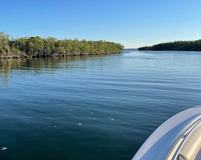 2-Hour Charter in Key Largo