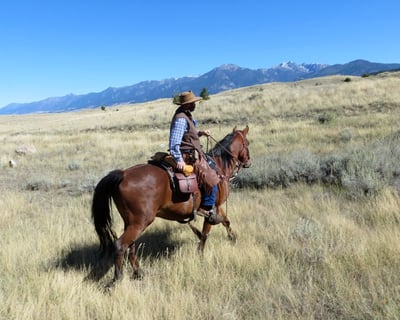 2-Hour Trail Ride in Pray