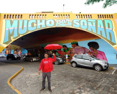 Private Street Art Tour of Barranco