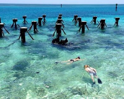 Dry Tortugas Private Snorkel & Dive Charter From Key West