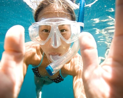 Explore Molasses Reef on a Key Largo Snorkel Trip