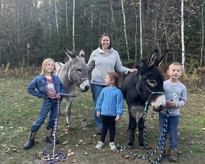 Guided Donkey Walk & Pasture Visit in Searsport