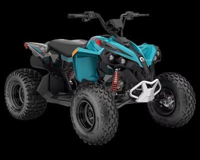 Kids ATV Rental at St Anthony Sand Dunes
