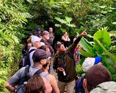 El Yunque Guided Rainforest Nature Walk