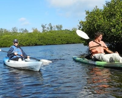 2-Hour Guided Mangrove Tunnel Kayak Tour In Sarasota