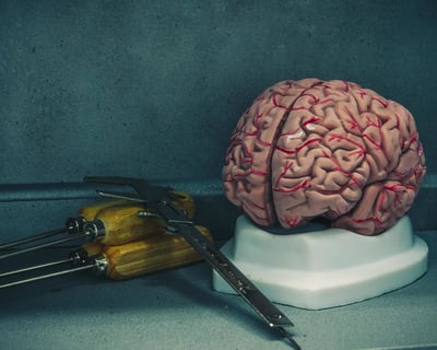 The Asylum: 1-Hour Escape Game