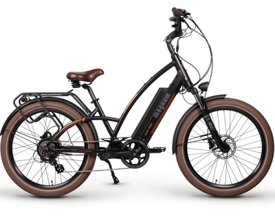 Eleven Day Electric Bike Rental