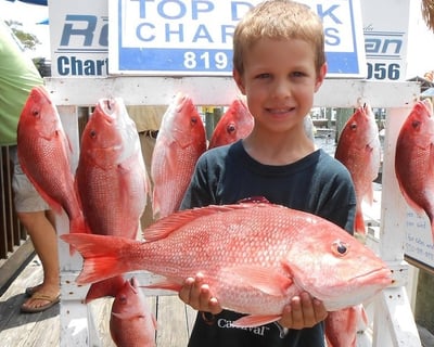 Panama City 12-Hour Bottom Fishing Charter
