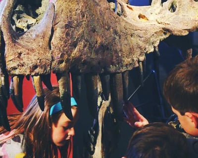 Morrison Natural History Museum General Admission