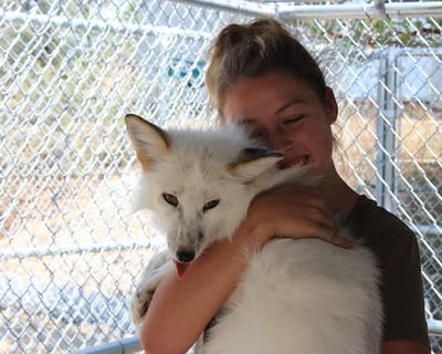 Private Canid Encounter in Santa Ysabel