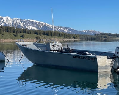 40HP Runabout Rental on Jackson Lake