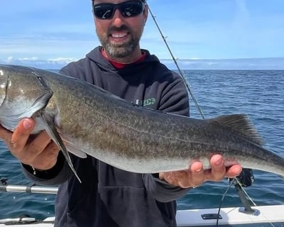 Newport Black Cod Fishing Charter