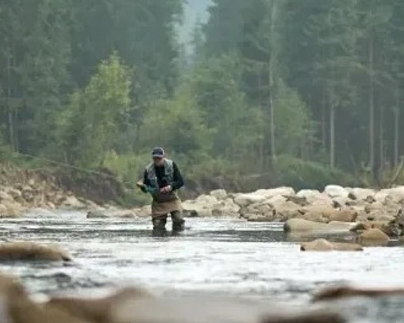 Full-Day Fly Fishing on Rock Creek near Clinton, MT