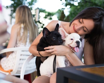 Dog-Friendly Food Tour of Downtown Hollywood