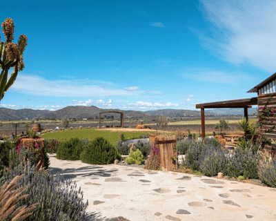 Full-Day Baja Wine Tasting Tour From San Diego
