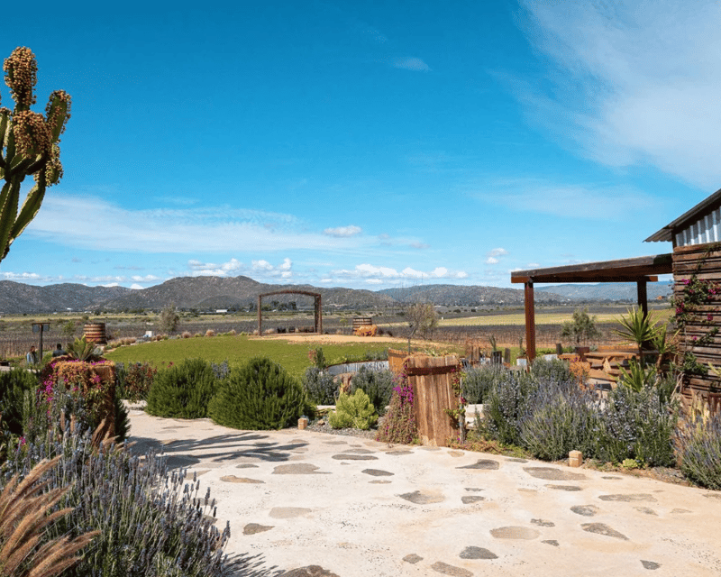 Full-Day Baja Wine Tasting Tour From San Diego