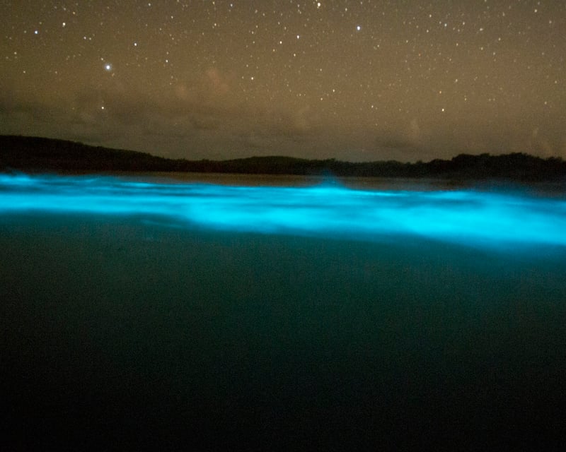 Private Clear-Bottom Kayak Bio Bay Tour in Vieques