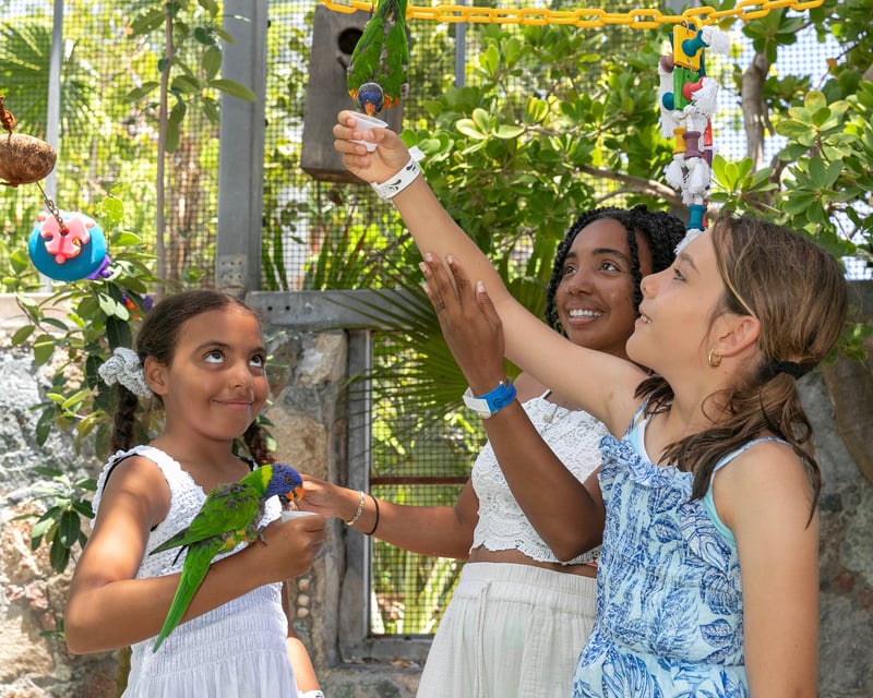 Coral World Ocean Park Family Day Pass in St. Thomas