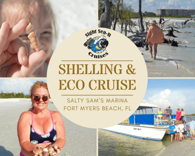 Fort Myers Beach Shelling Cruise