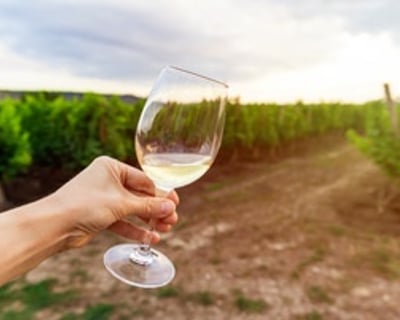 Sedona 5-Hour Vineyard Tour & Wine Tastings