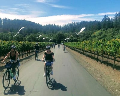 Calistoga Sip N' Cycle Bike and Wine Tour