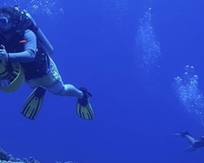 Wailea Underwater Scooter Dive