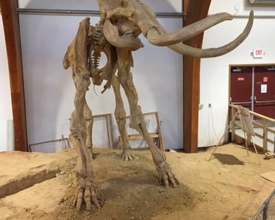 Black Hills Private Tour: Rushmore Cave & Custer