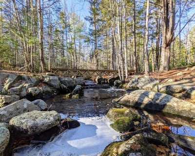Guided Historic Hike at Tyler Brook Preserve
