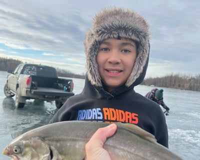 4-Hour Guided Lake Trout Ice Fishing in Wasilla