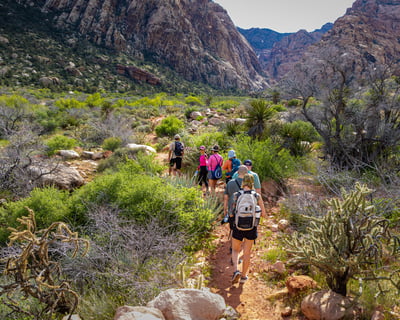 Spring Mountain Ranch Hike in Red Rock Canyon