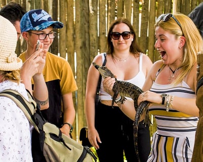 Everglades Airboat Ride & Alligator Farm