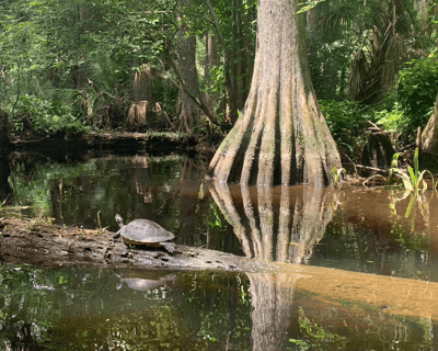 1-Hour Kayak & Canoe Rental at Riverbend Park