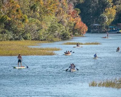 Paddleboard Rental at Rainbow Springs State Park