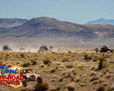 Guided Mojave Off-Road RZR Tour From Las Vegas