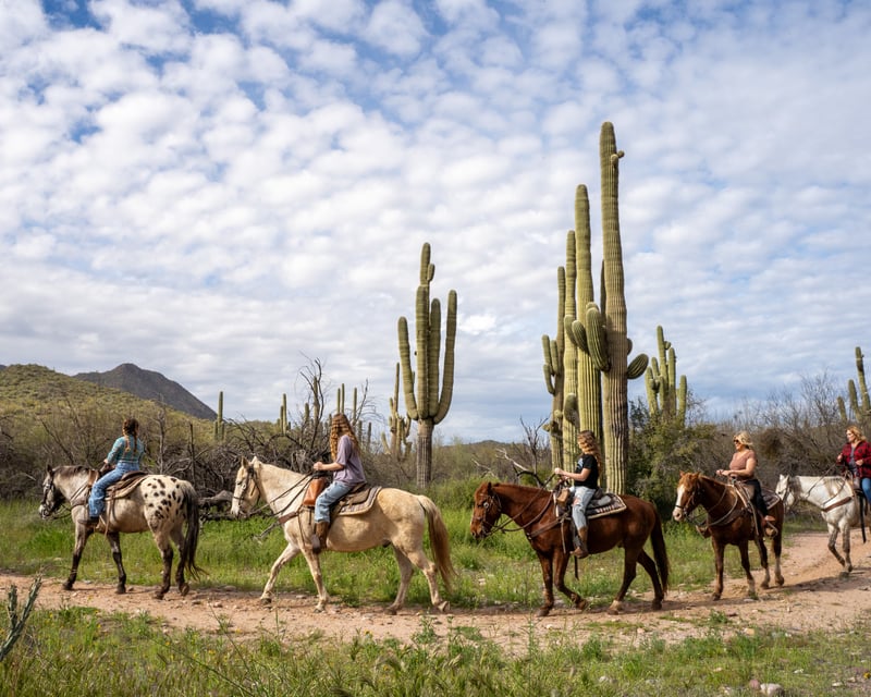 Sonoran Desert Horseback Trail Ride near Saguaro Lake
