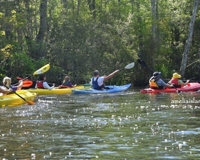 Lofoten Creek Kayaking Tour with Wildlife Viewing