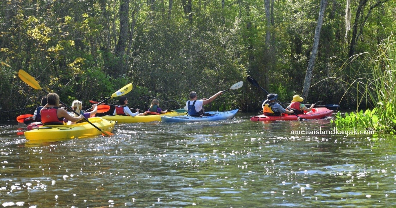 Lofoten Creek Kayaking Tour with Wildlife Viewing